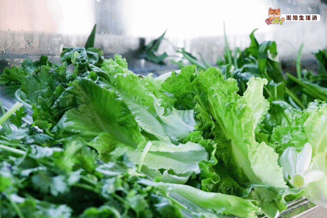 潮阳这位老板豁出去了,麻辣香锅放开吃!