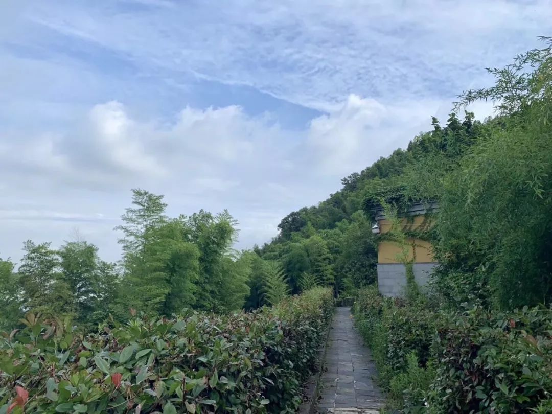 8月茶菓子寺院静修营