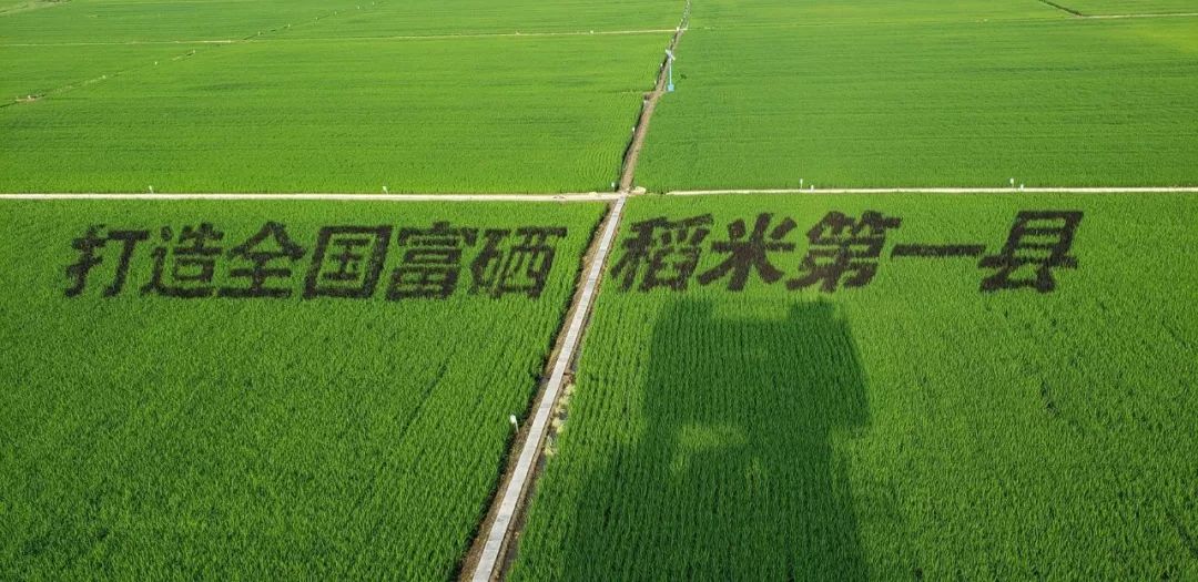 北小荒带您走进方正县秋然米业