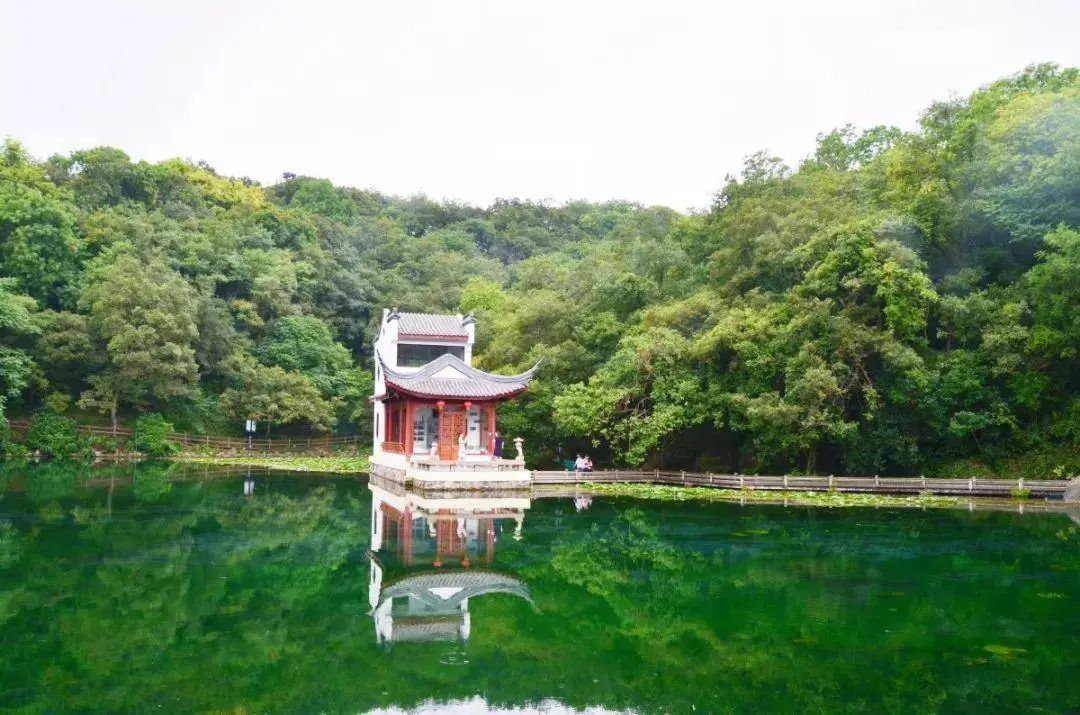 8月1日當天 珍珠泉景區大門票,動物園 免費向遊客開放!