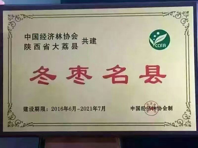 中国特产名录   大荔冬枣