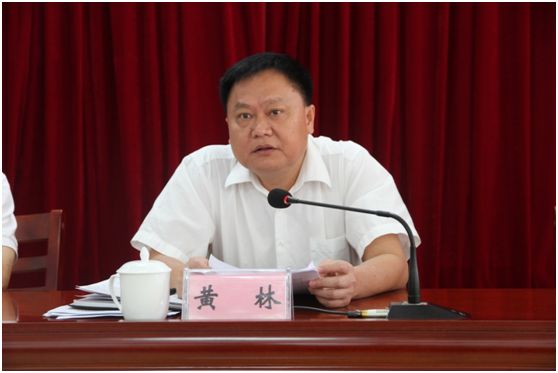 那坡县召开全县年中工作会议_农斌