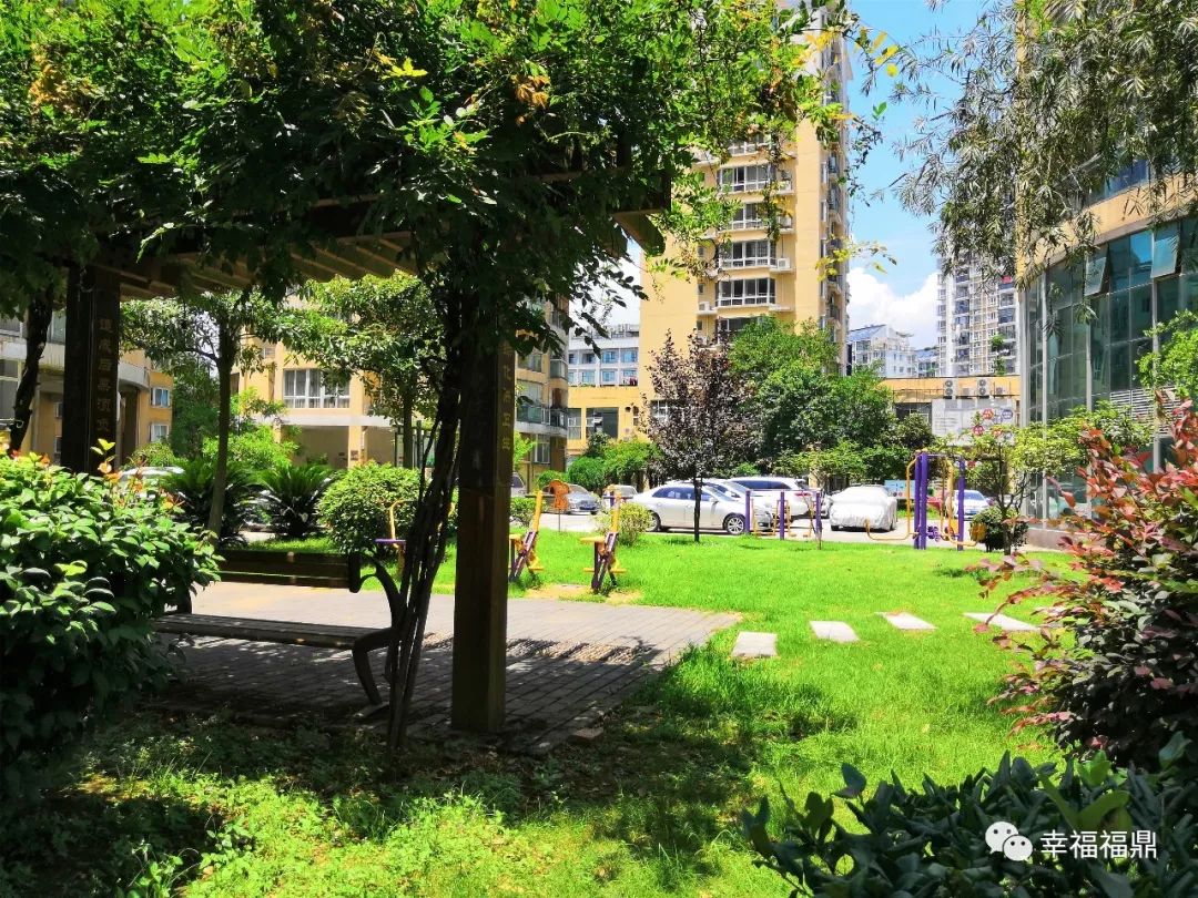 环境美人情暖谁不想在这样的小区生活呢