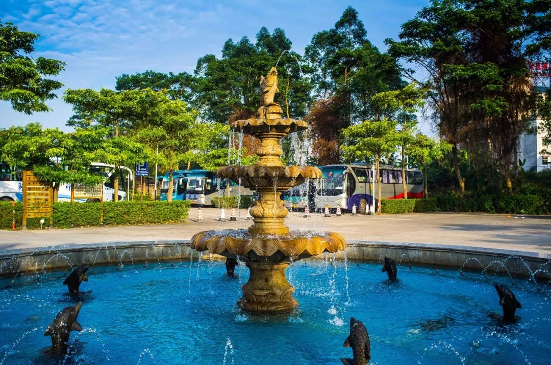 金水台太阳岛水上乐园陪你玩转缤纷七彩暑假