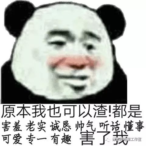 搞笑地理靠萌征服世界的滾滾為什麼表情包那麼猥瑣