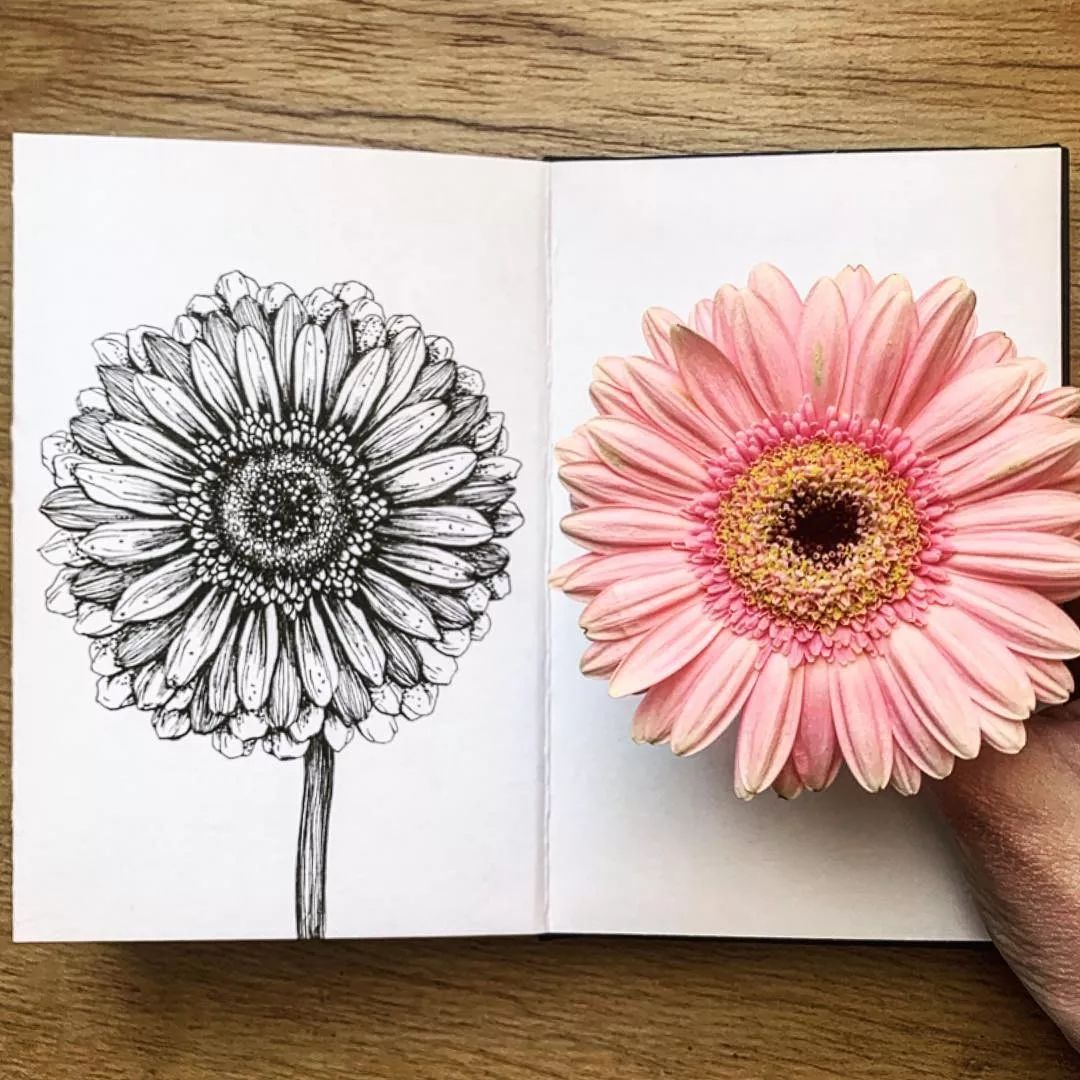 100张手绘素材资料收藏下都不用买书了