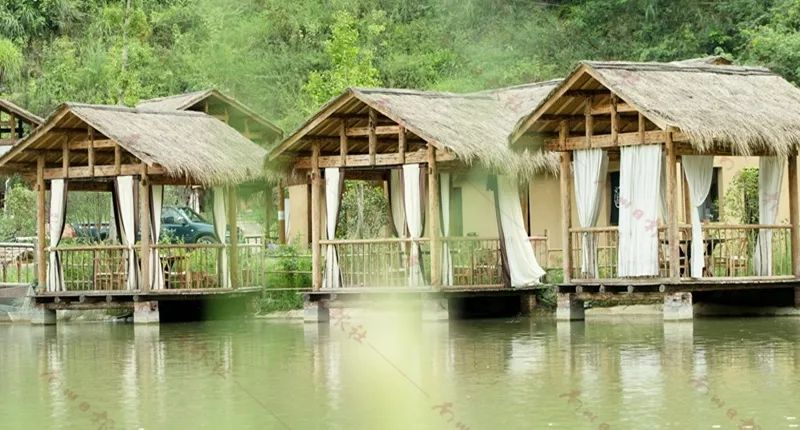 一到周末,南平镇红山村的懒懒山谷民宿里,儿童乐园,帐篷营地以及摸鱼