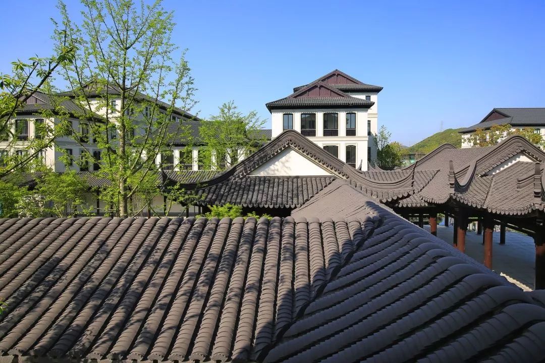 带你走进醉美中式园林育华国际学校体验贵族式学习场景