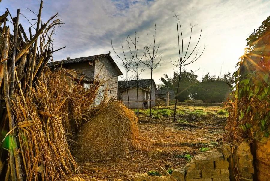 30年前的农村是什么样子?