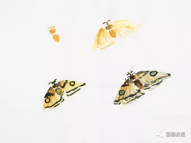 国画教程教你如何画小昆虫