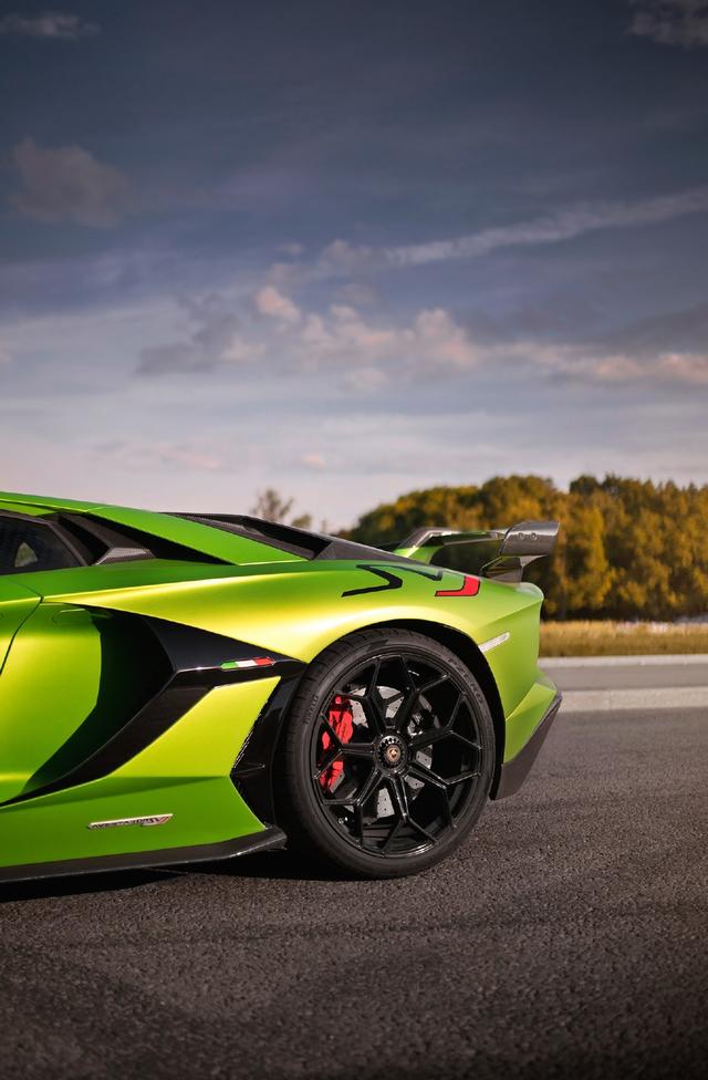 兰博基尼埃文塔多svj美图似乎被两只狗抢了风头