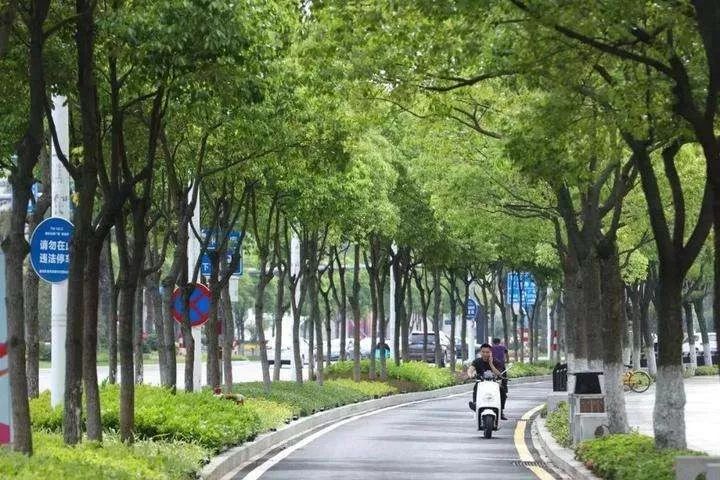 2019杭州考卷最新出炉第1题我就崩溃了