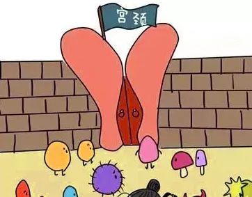 宫颈上的痘痘纳氏囊肿引发不孕姨妈痛等样样少不了