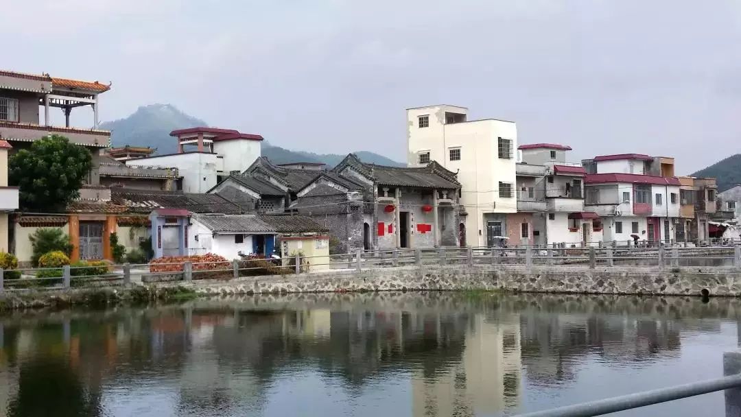 新会特辑 | 这样的古井,你知道多少?_古井镇