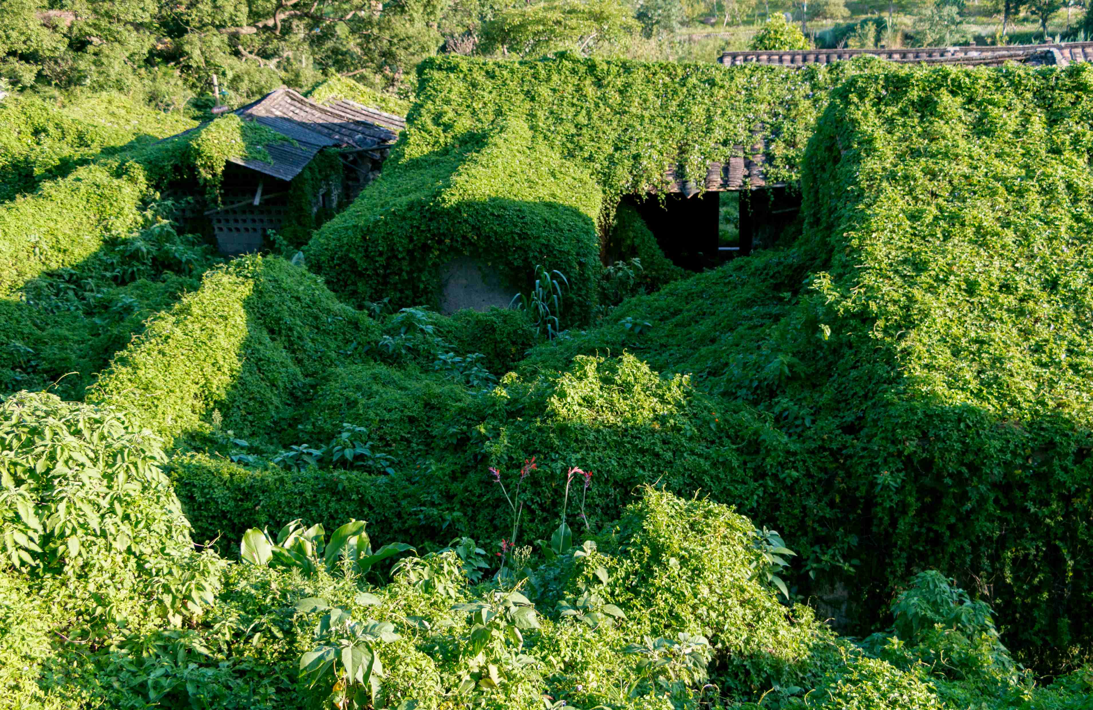 厦门最大的田园综合体——大帽山境,昔日农场已变身为休闲的世外桃源