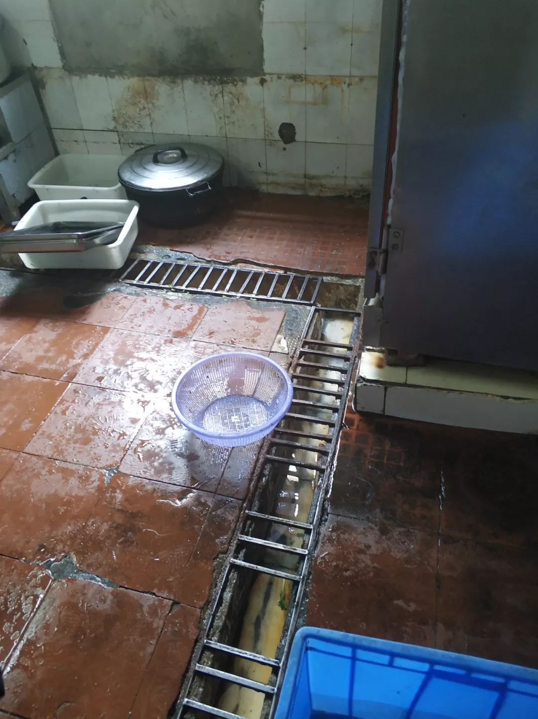 餐具放地上厨房不整洁一起看全民查餐厅又查到什么