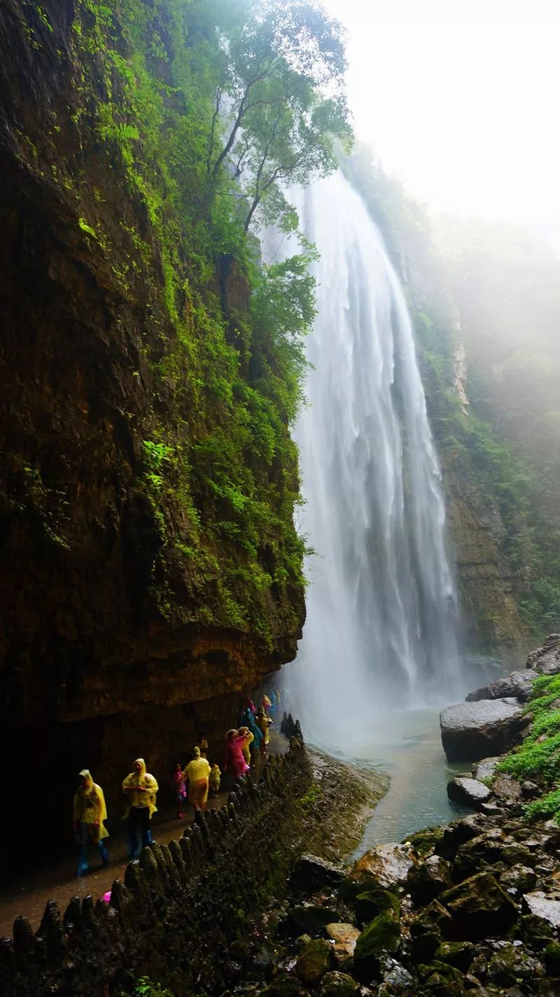 【重要通知】三峡大瀑布景区7月31日恢复营业_宜昌