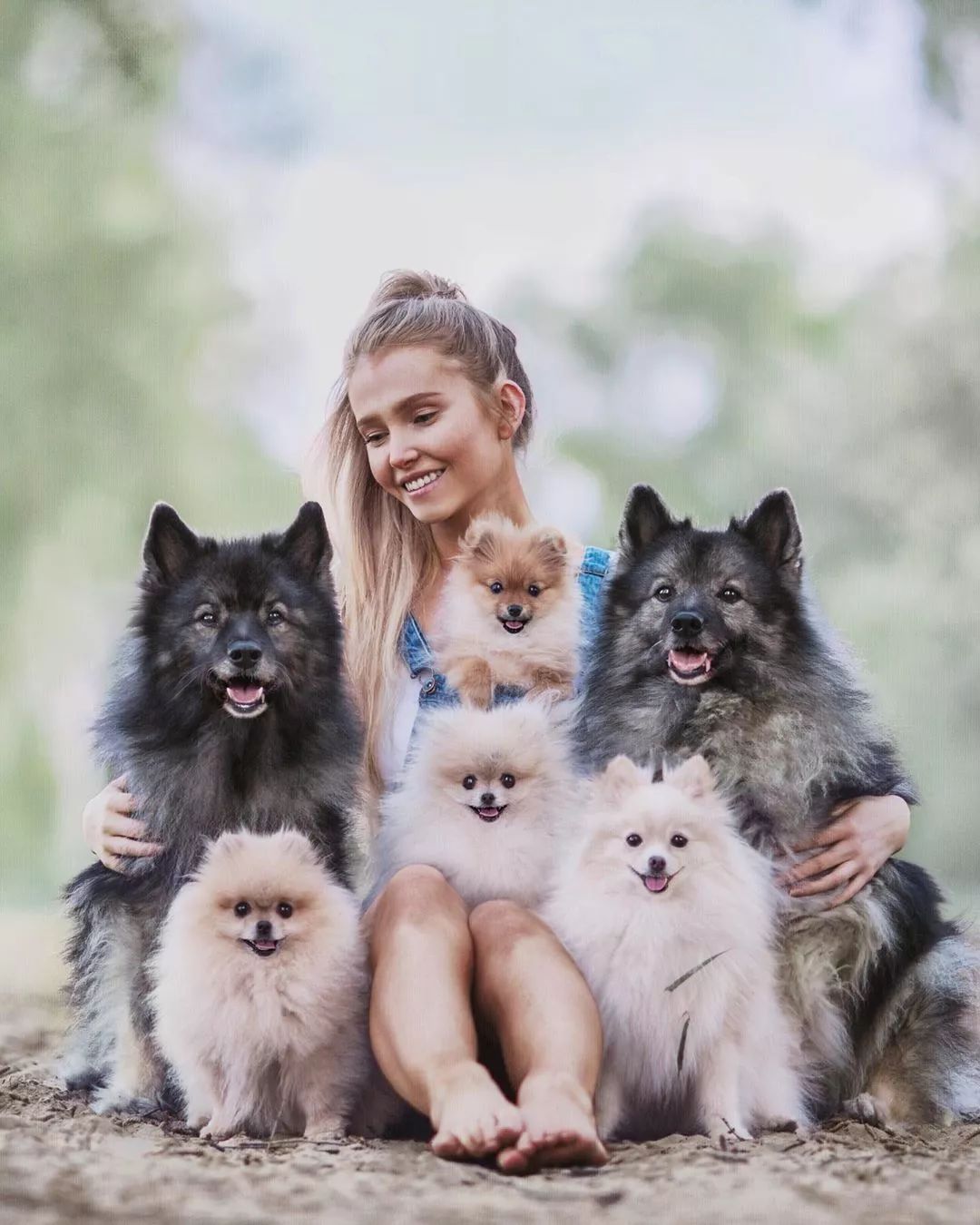 狗狗模仿主人拍照惊动网红界,爆红ins后全家福曝光,网友:一家子都是