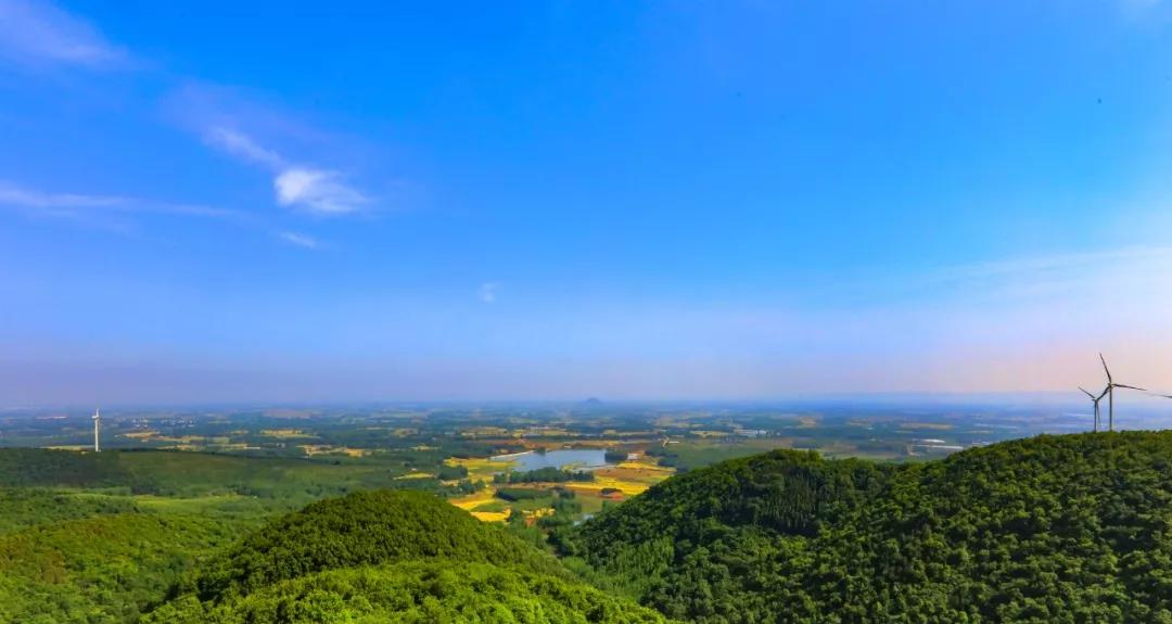 组团来大墅龙山只为吃口饭