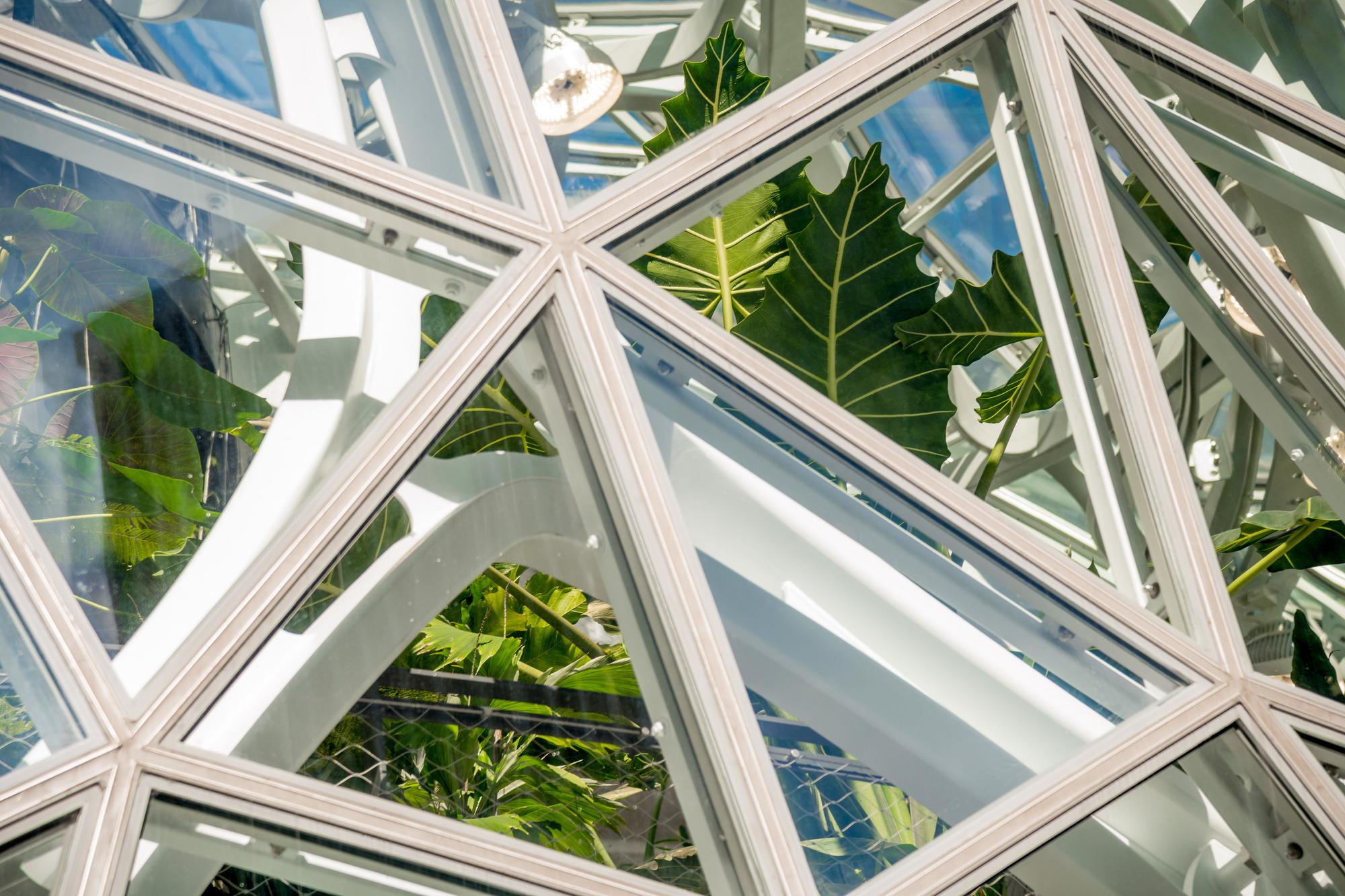 美国亚马逊新总部spheresnbbj