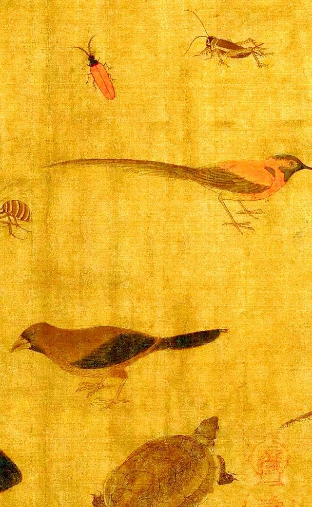 五代黄荃写生珍禽图鉴赏