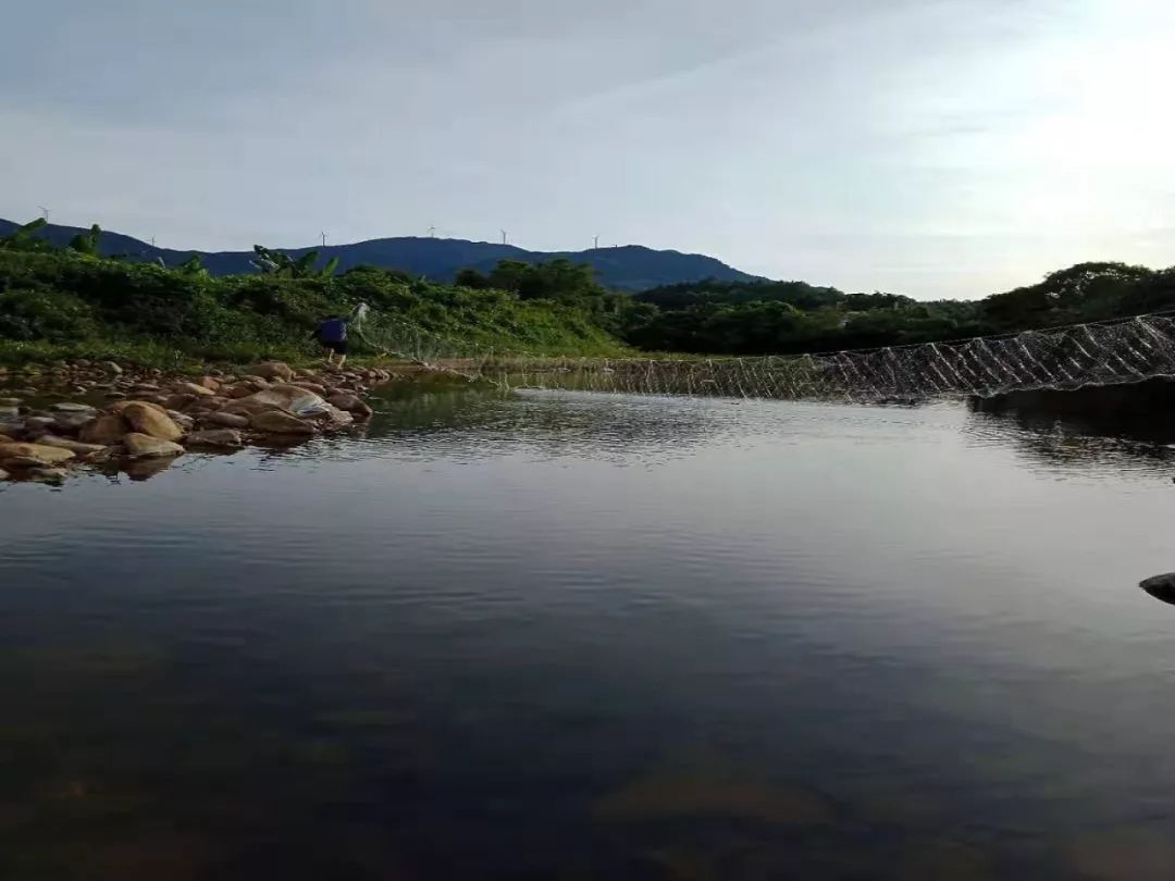 寻皇千岛湖生态园车主自驾游精彩回顾