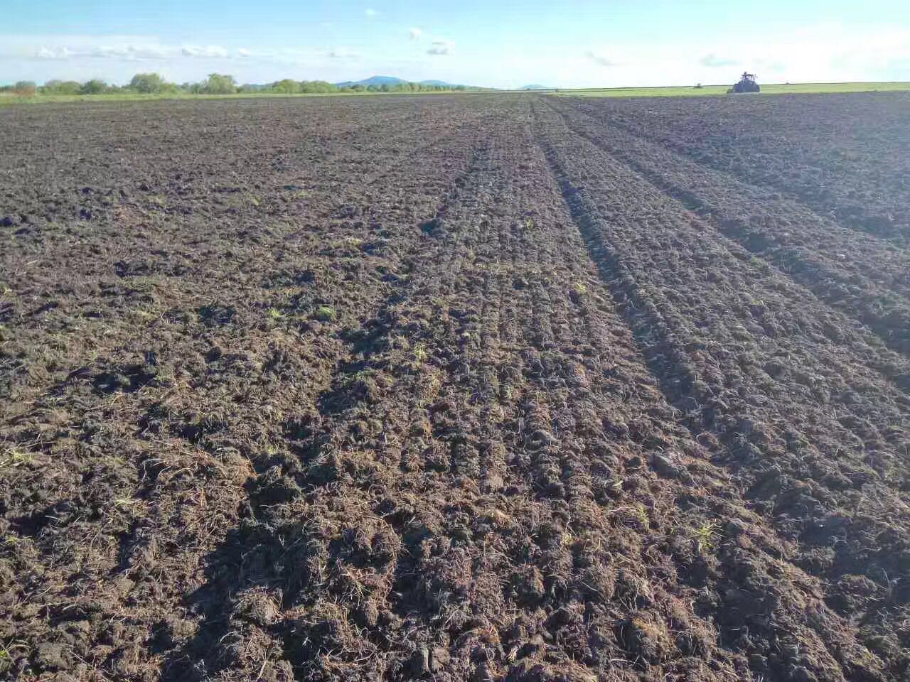 到俄罗斯办农场的商机之一:租金便宜到与没有一样_土地