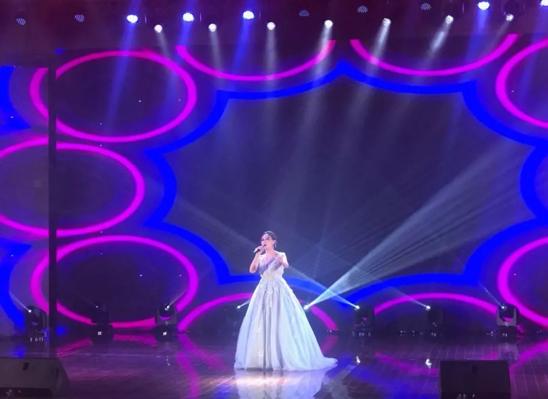 蒋大为等明星来定州演出了