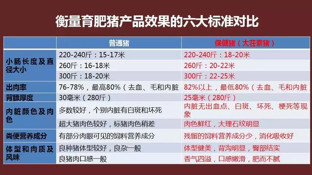 但对代养户饲养有严格的要求,如料肉比,药费等等,如果一头猪抓回后到