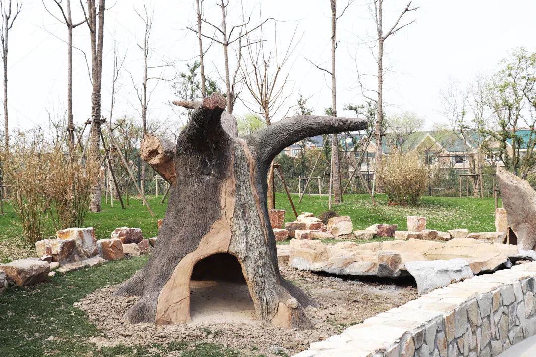 公司对豹房,小兽园和部分苗圃进行整体梳理,并与小熊猫展区相邻,打造