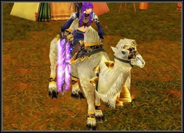 天龙八部永久坐骑白骆驼5888金十年前买得起的都是有钱人