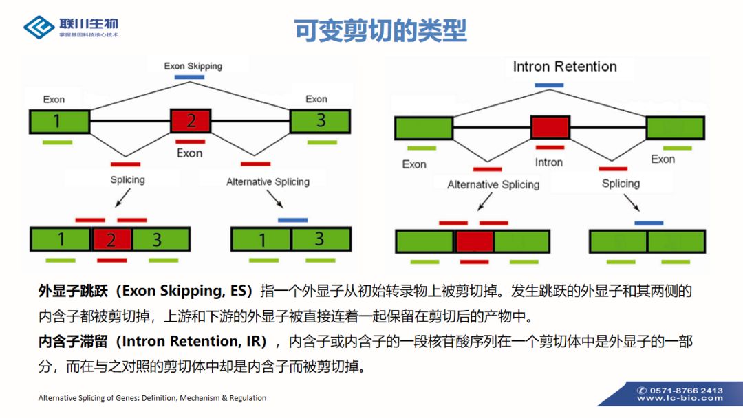 可變剪接介紹 | 學習專欄