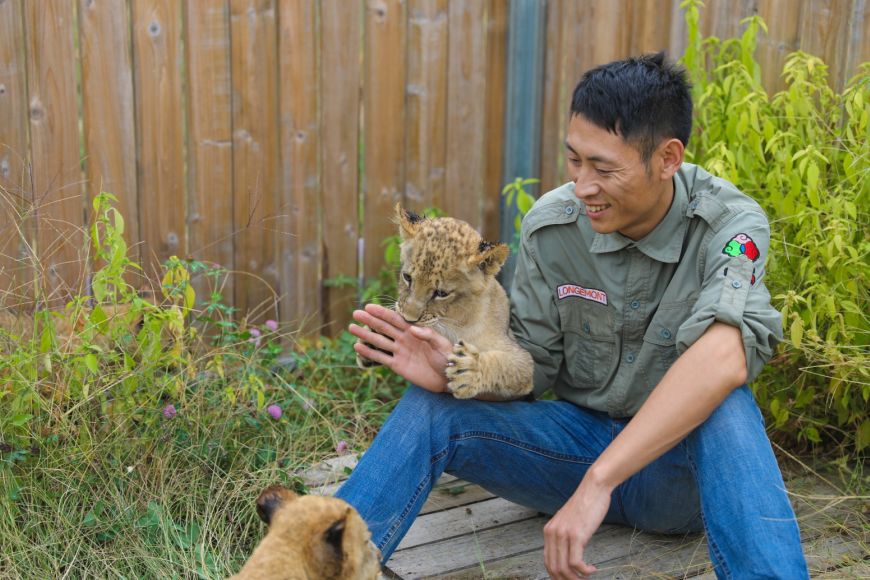 谁家没个铲屎官看龙之梦动物世界饲养员的热辣生活