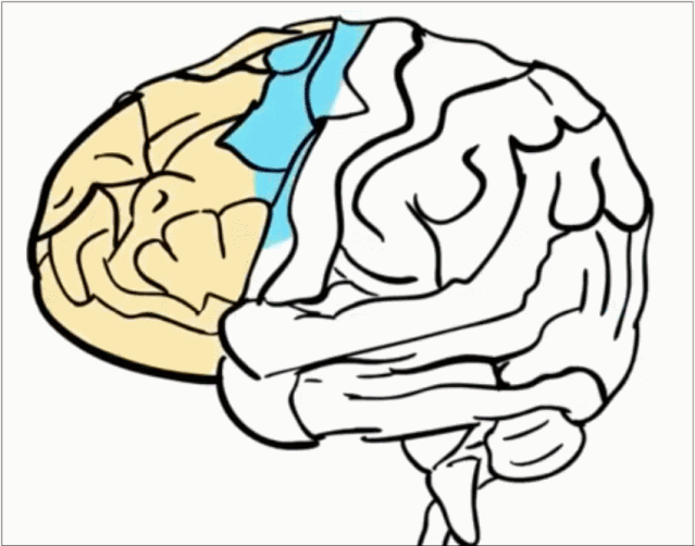 639_502gif 动态图 动图