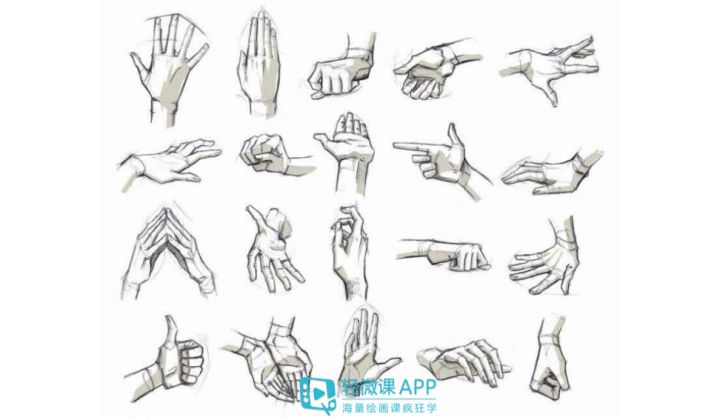 学画画如何画手