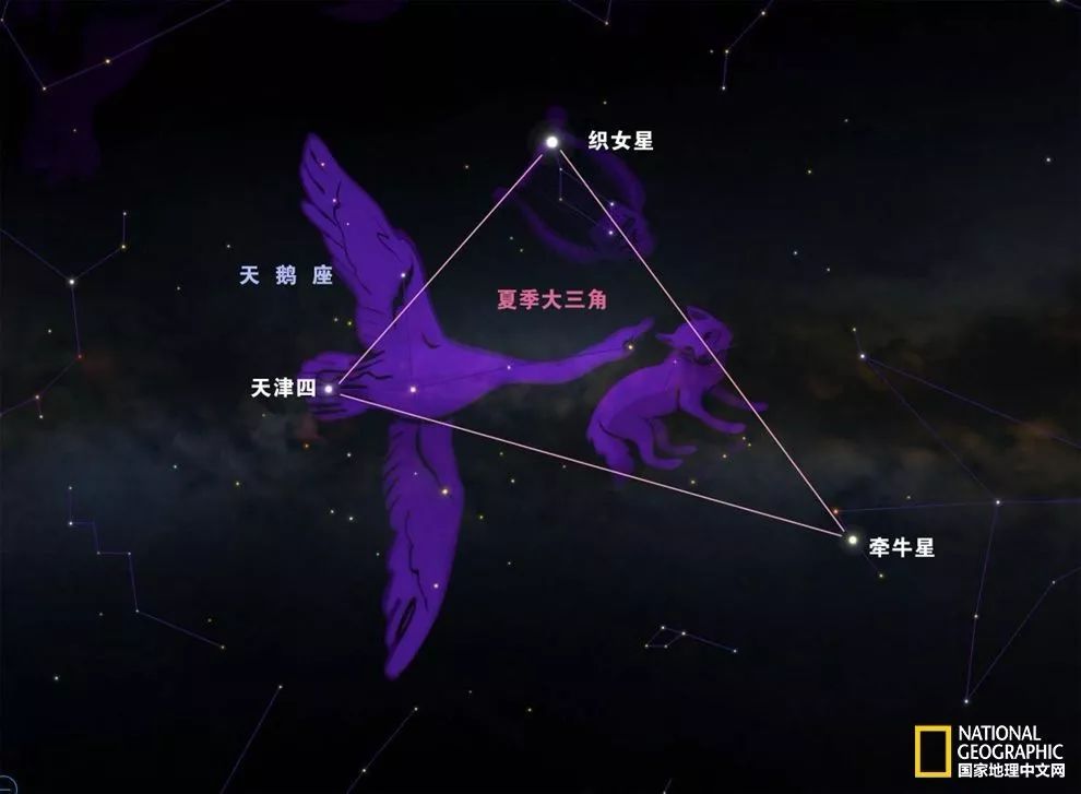 织女星光谱图图片