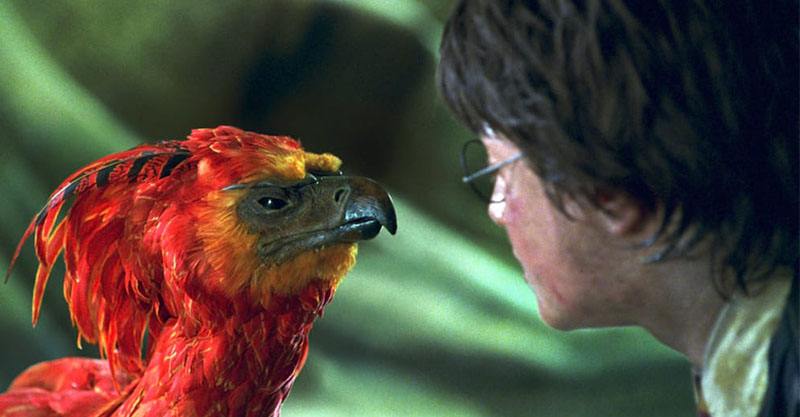 那些反抗伏地魔的魔法师所组成的联盟名称就是"凤凰社".