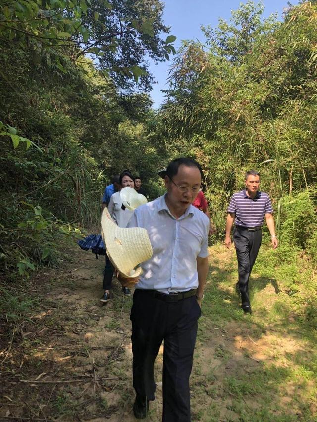 抚州这个原始森林副市长徐国义赞叹不已
