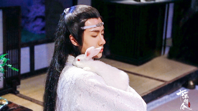 想魂穿王一博怀里的兔子 蓝忘机怎么可以这么温柔!