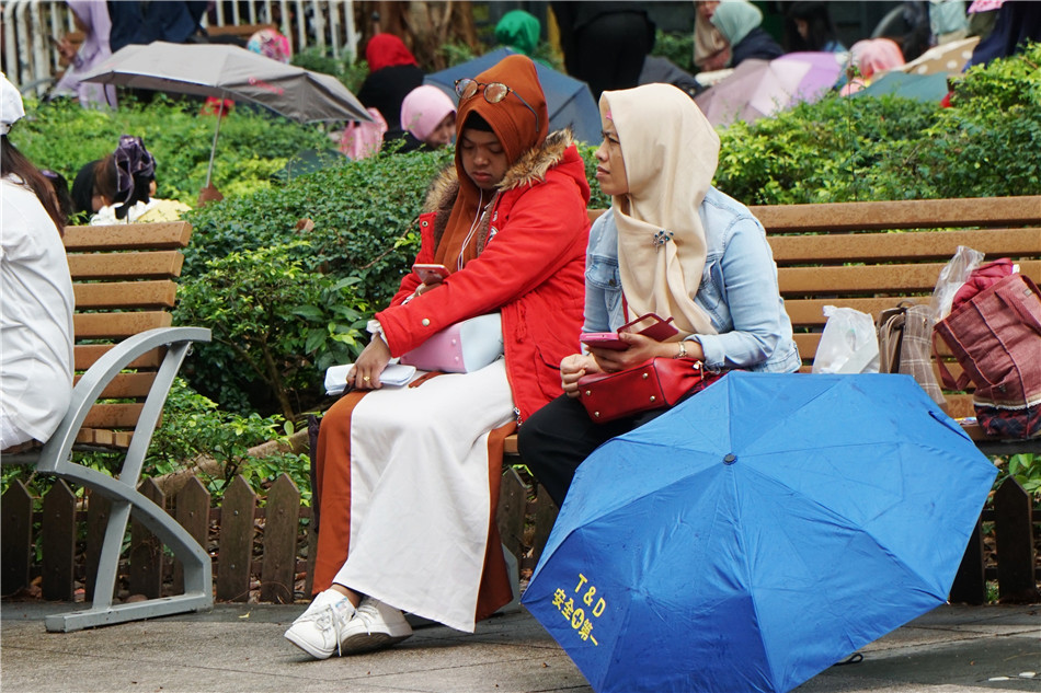原创香港:维多利亚公园,周末成群结队的菲佣们