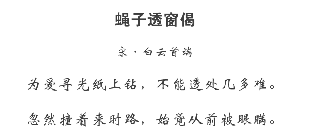 禅诗赏析蝇子透窗偈