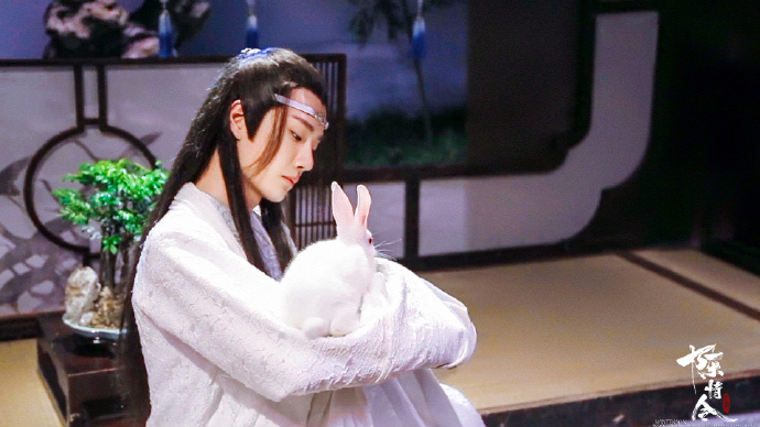 想魂穿王一博怀里的兔子 蓝忘机怎么可以这么温柔!