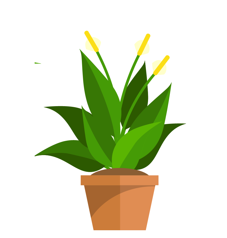 不要再被鸡汤文骗了!