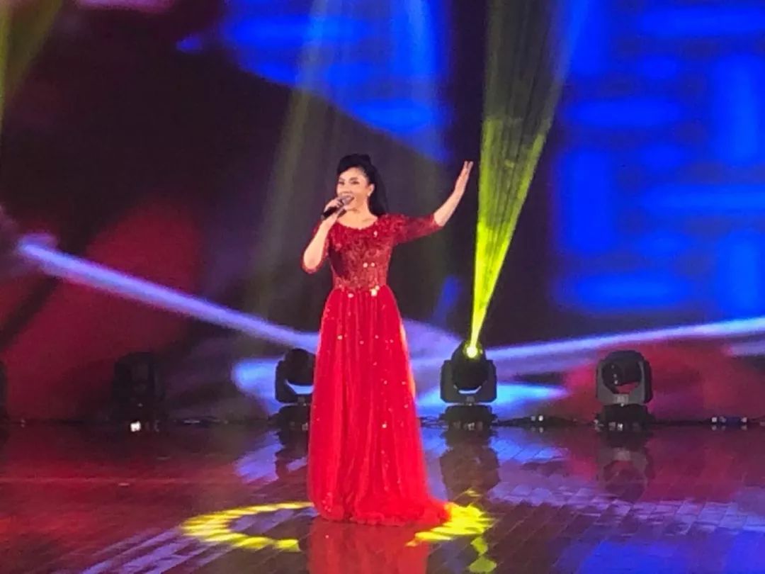 蒋大为等明星来定州演出了