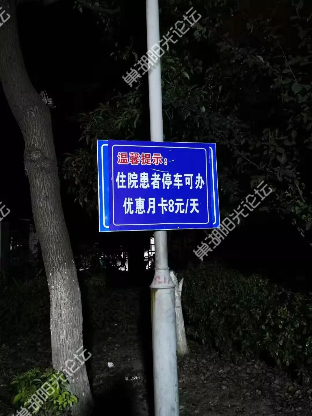 巢湖四康图片