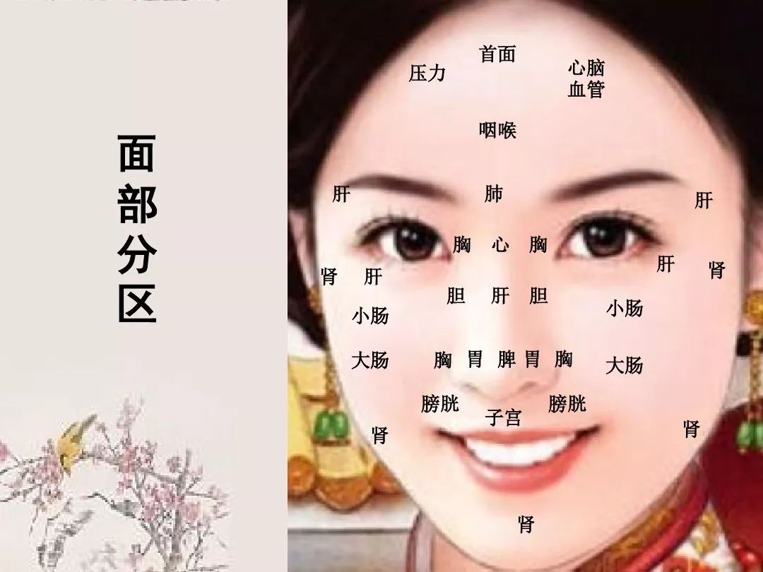 中医面诊（必读）