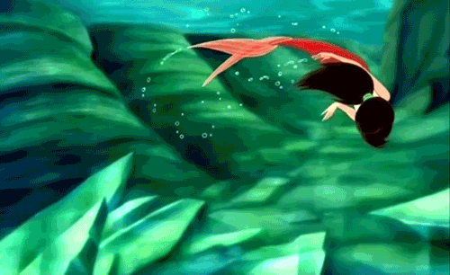 500_306gif 动态图 动图