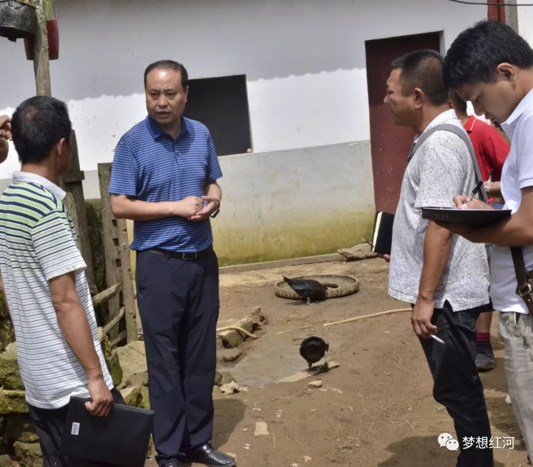 县委书记张智俊到洛恩乡调研农村危房改造及人居环境提升工作他提出