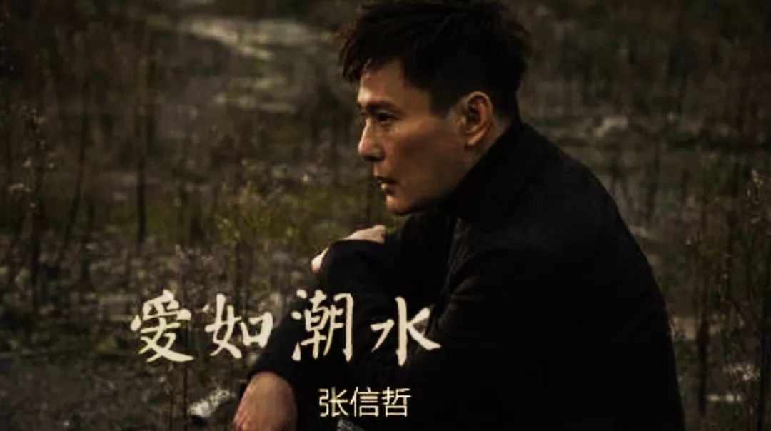 但好景不长,93年李宗盛量身为张信哲打造的一曲《爱如潮水》又让他