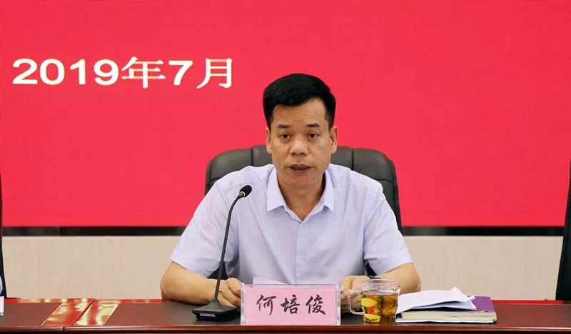 柳东新区党工委副书记,管委会主任何培俊传达全区,全市年中工作会议